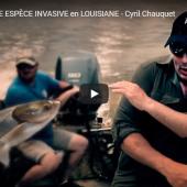 Carpe de Louisiane