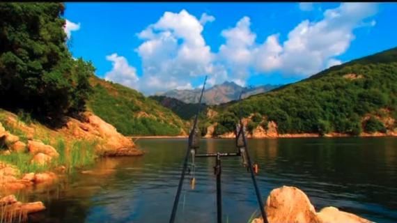 Vidéo de pêche de la carpe