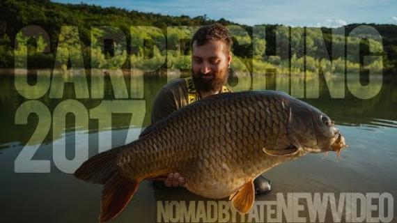 Peche De La Carpe Page 3 Netfishtv